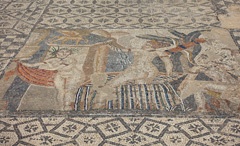 DSC00632a